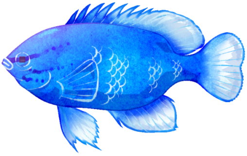 ルリスズメダイのイラストです。スズキ目スズメダイ科に分類される海水魚で、体色が鮮やかな瑠璃色（青色）のためこの名がつけられました。