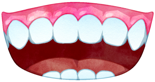 ガミースマイルの口のイラストです。ガミーフェイス、ガミーマウス、ガミーとも呼ばれたりします。笑うと上の歯の歯茎が見える状態をガミースマイルといいます。